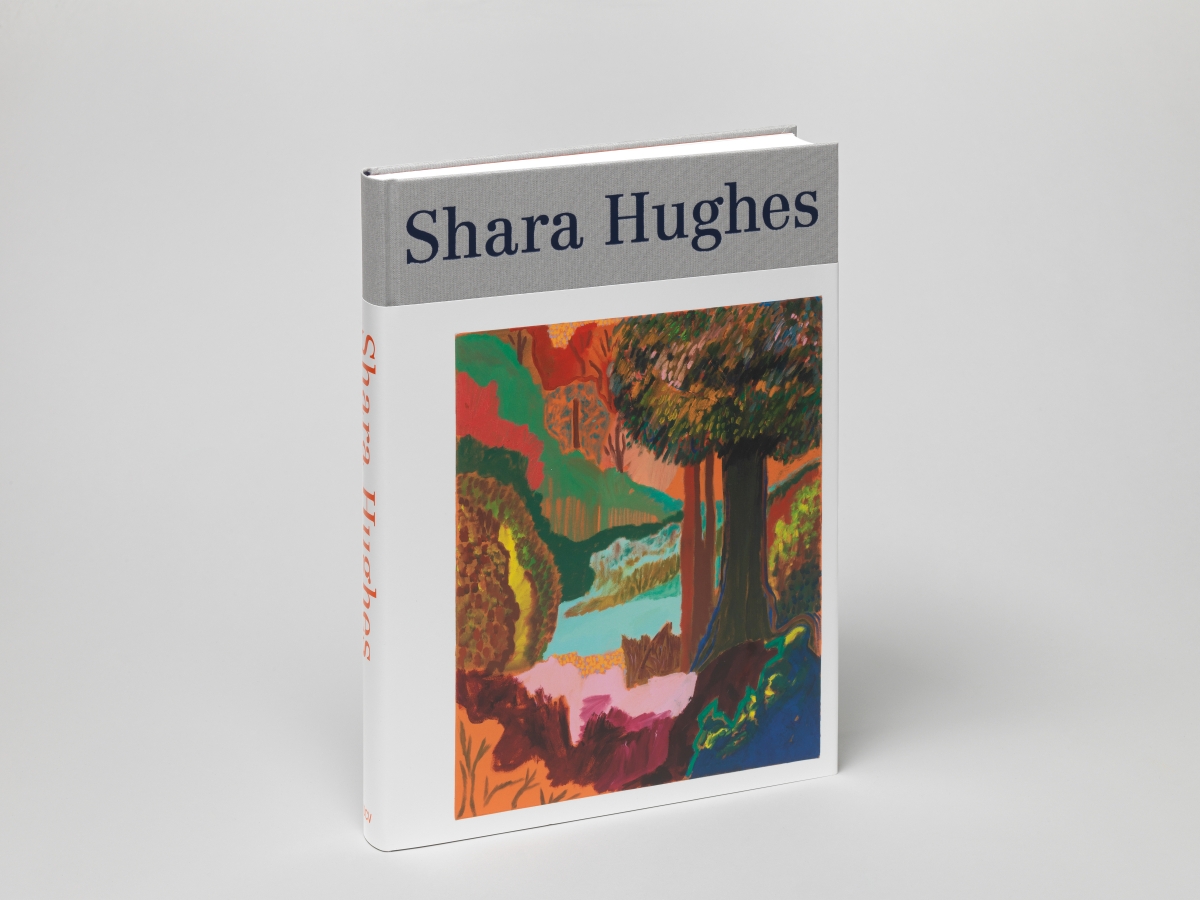 Image of Shara Hughes publication