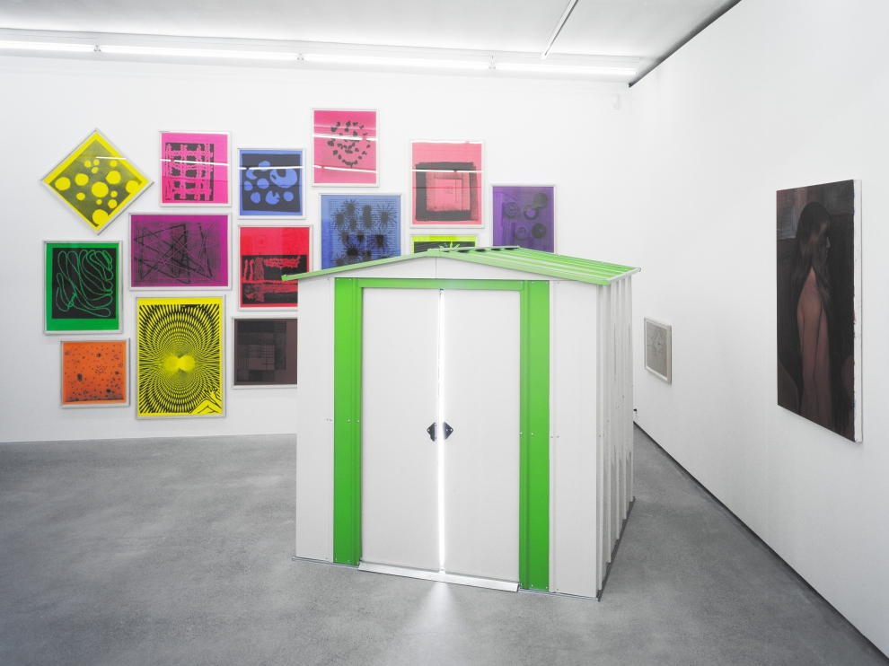 Installation view of Steven Shearer paintings, printed works, and installation exhibition